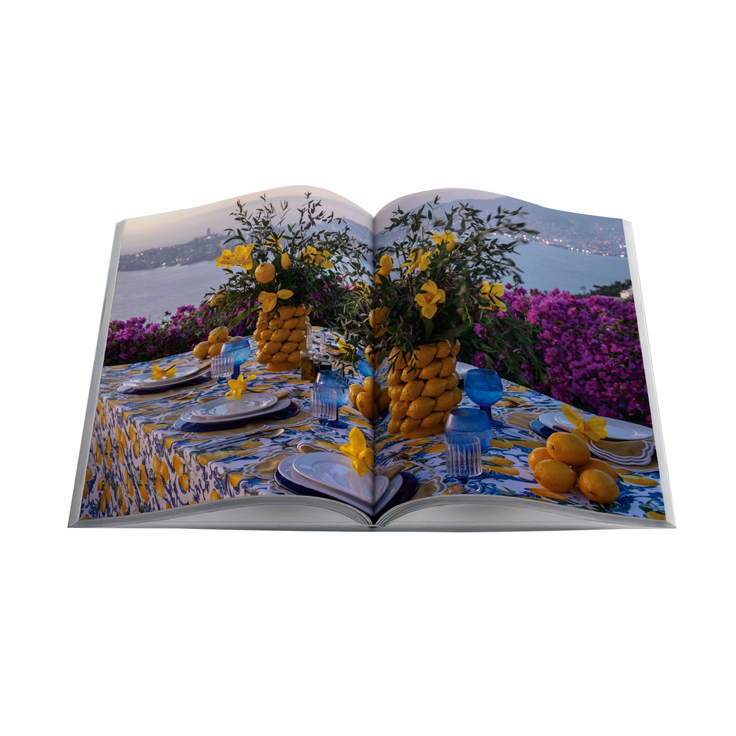 Bienvenidos a mi Mesa