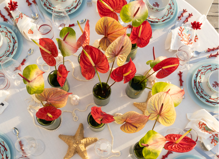 Bienvenidos a mi mesa